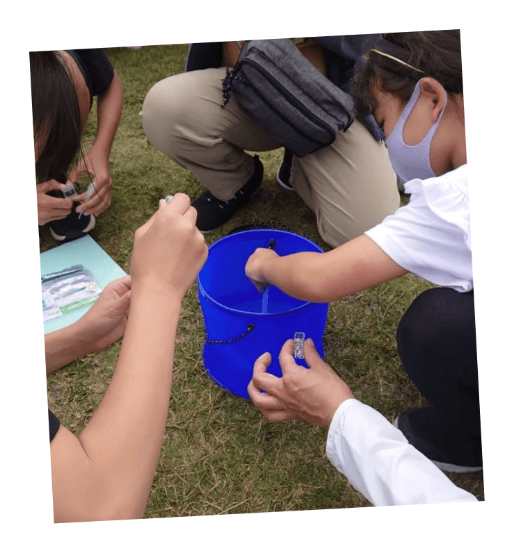 みんなで水質調査中